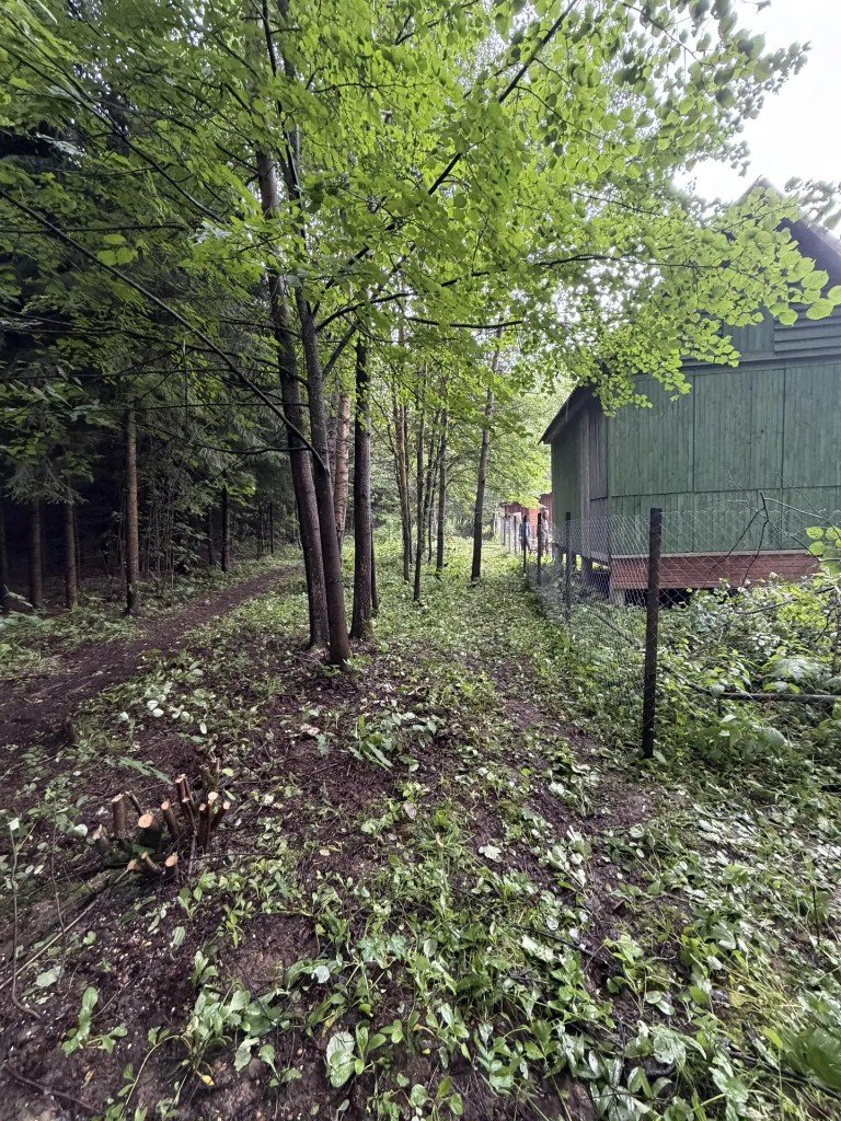 Итоги субботника-марафона (11 и 18 июля) и напоминание о благоустройстве территории